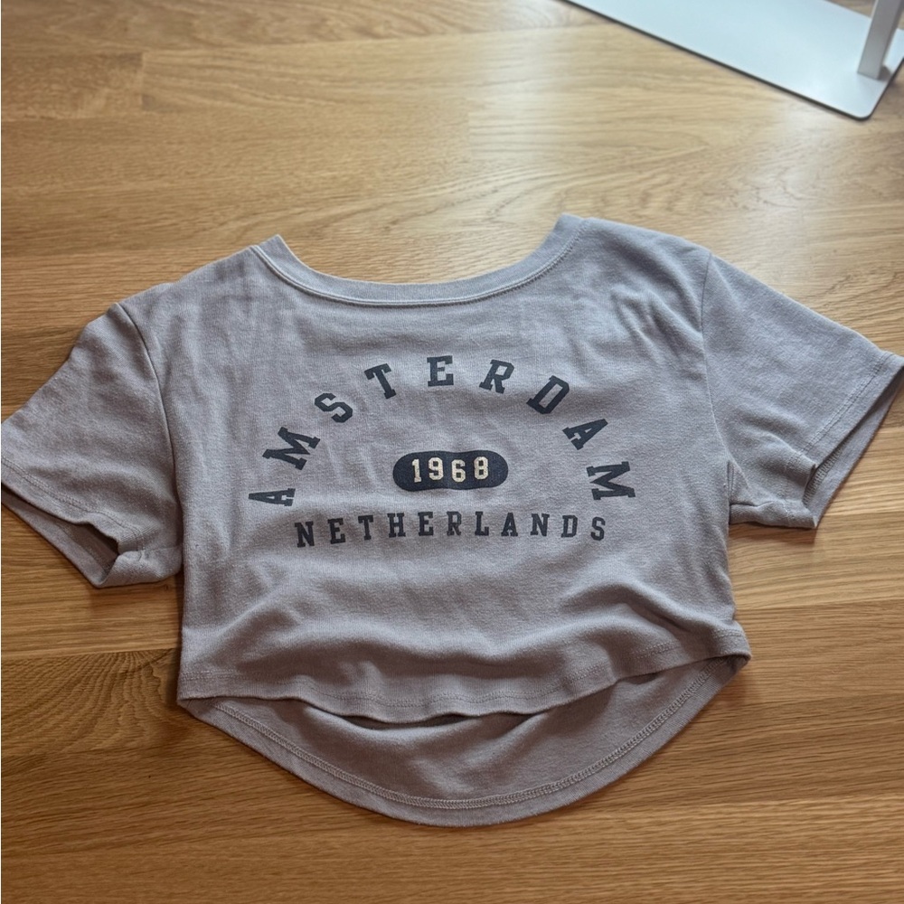 Gray Amsterdam Crop Top